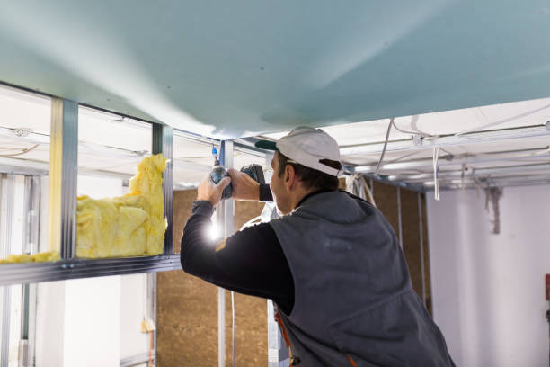 Best Types of Insulation in Louisville, CO