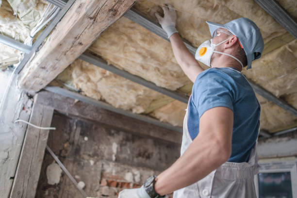 Best Insulation Installation Services in Louisville, CO