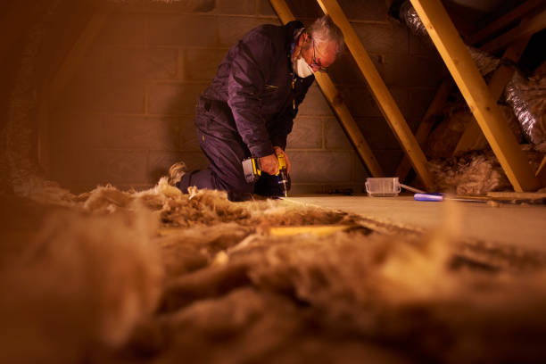 Best Insulation Maintenance and Repair in Louisville, CO